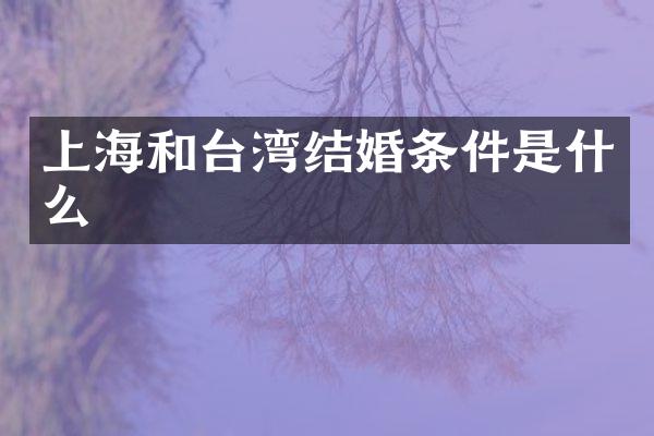 上海和台湾结婚条件是什么