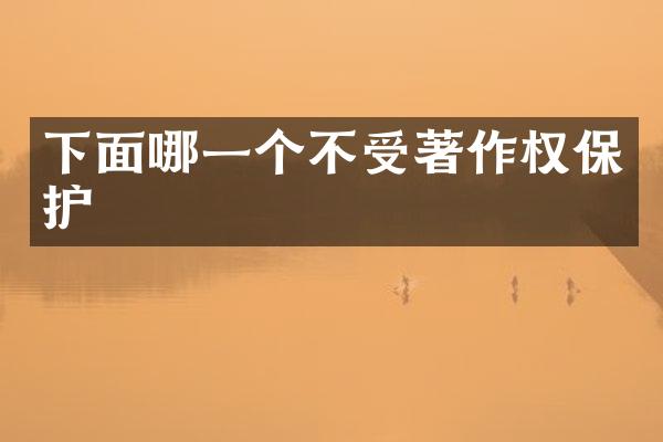 下面哪一个不受著作权保护