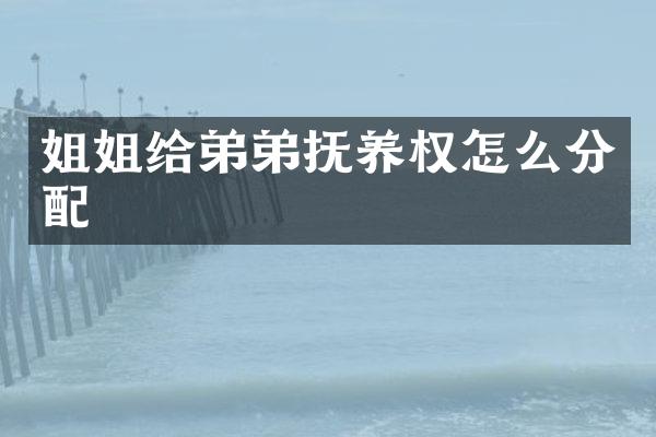 姐姐给弟弟抚养权怎么分配