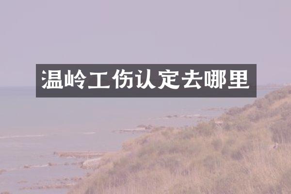 温岭工伤认定去哪里