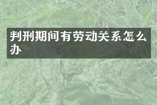 判刑期间有劳动关系怎么办