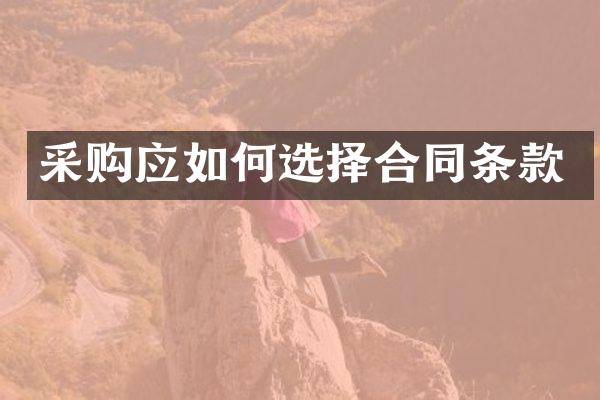 采购应如何选择合同条款