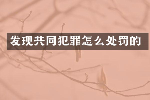 发现共同犯罪怎么处罚的