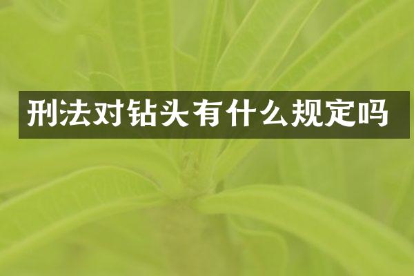 刑法对钻头有什么规定吗