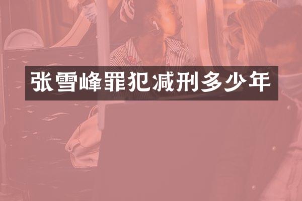 张雪峰罪犯减刑多少年