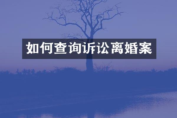 如何查询诉讼离婚案