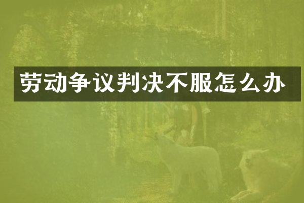 劳动争议判决不服怎么办