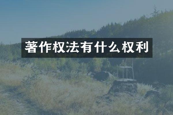 著作权法有什么权利