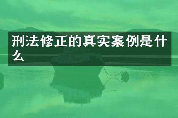 刑法修正的真实案例是什么
