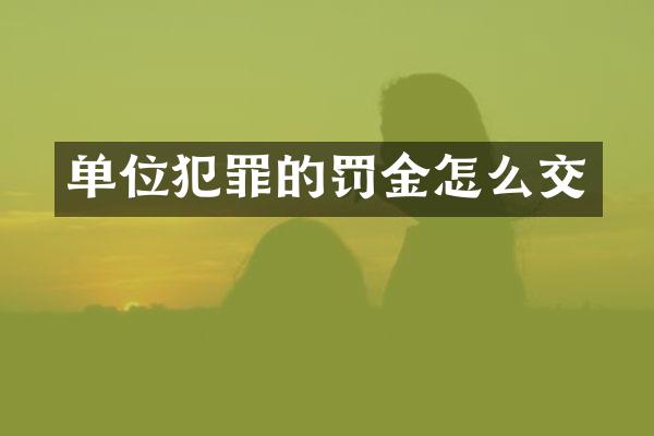 单位犯罪的罚金怎么交