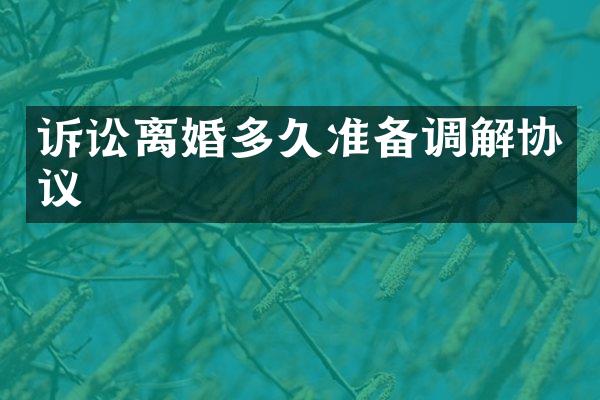诉讼离婚多久准备调解协议
