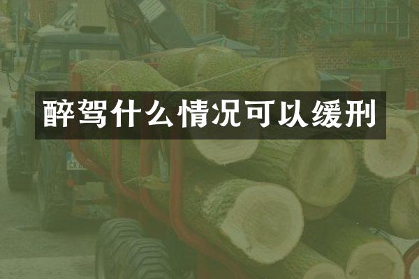 醉驾什么情况可以缓刑
