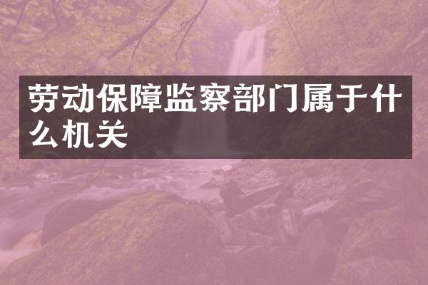 劳动保障监察部门属于什么机关