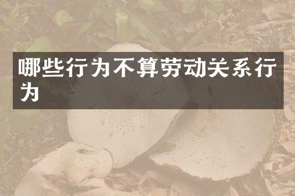 哪些行为不算劳动关系行为