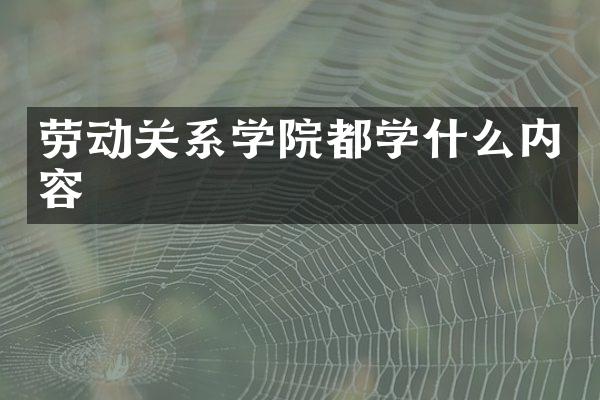 劳动关系学院都学什么内容