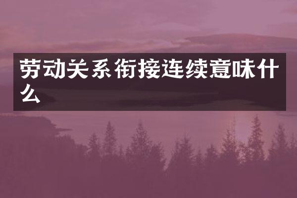 劳动关系衔接连续意味什么