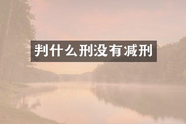 判什么刑没有减刑