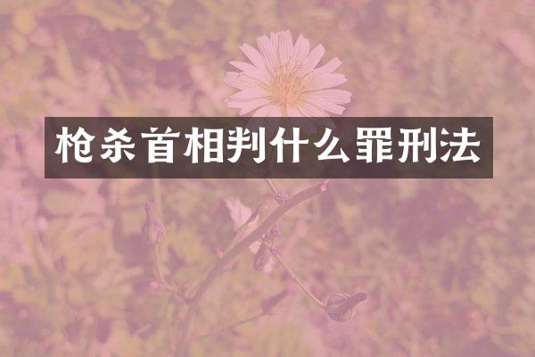 杀首相判什么罪刑法