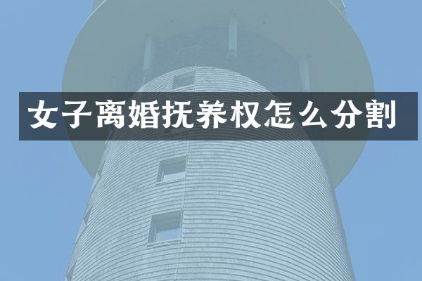 女子离婚抚养权怎么分割