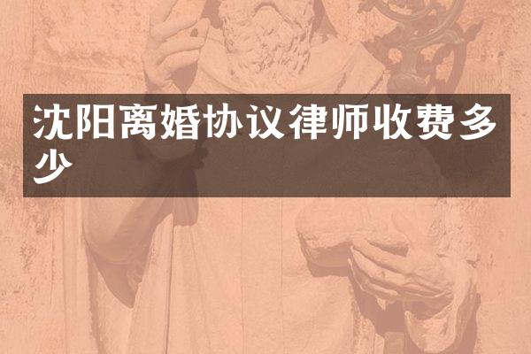 沈阳离婚协议律师收费多少