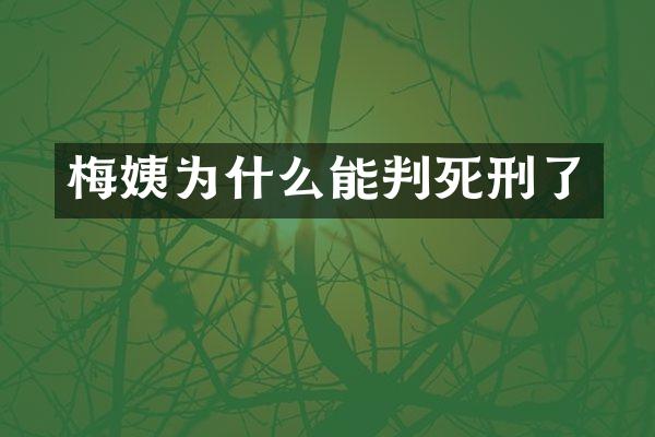梅姨为什么能判死刑了