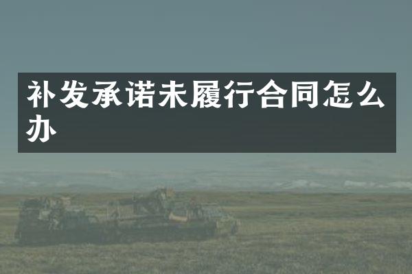 补发承诺未履行合同怎么办