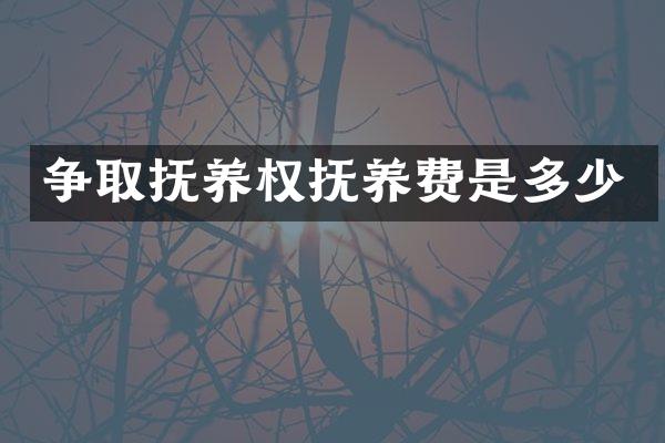 争取抚养权抚养费是多少