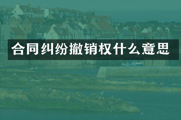 合同纠纷撤销权什么意思