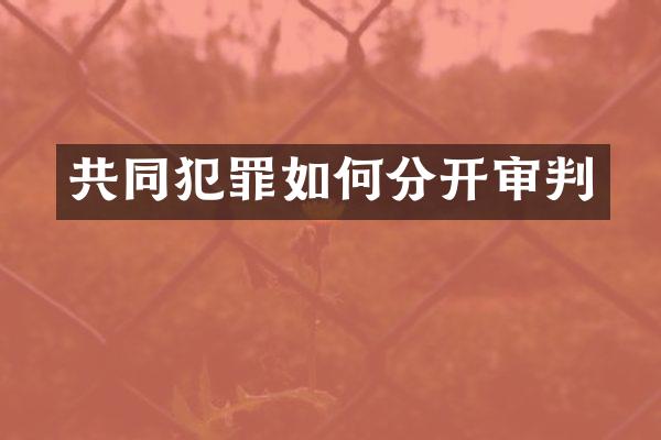 共同犯罪如何分开审判