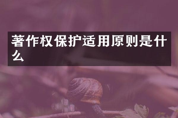 著作权保护适用原则是什么