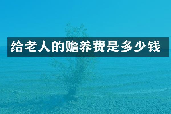 给老人的赡养费是多少钱