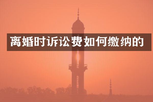 离婚时诉讼费如何缴纳的
