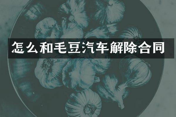 怎么和毛豆汽车解除合同