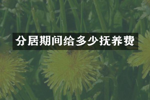 分居期间给多少抚养费