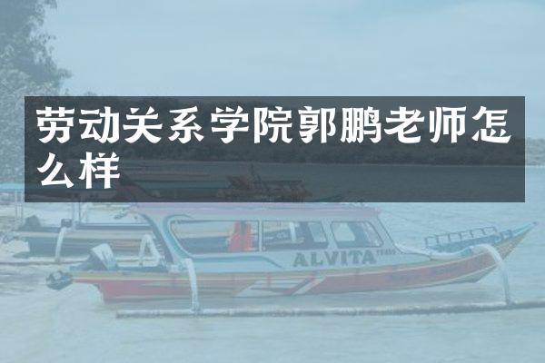 劳动关系学院郭鹏老师怎么样