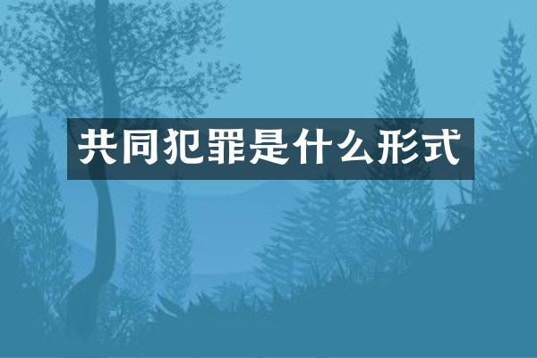 共同犯罪是什么形式