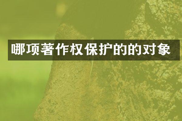 哪项著作权保护的的对象