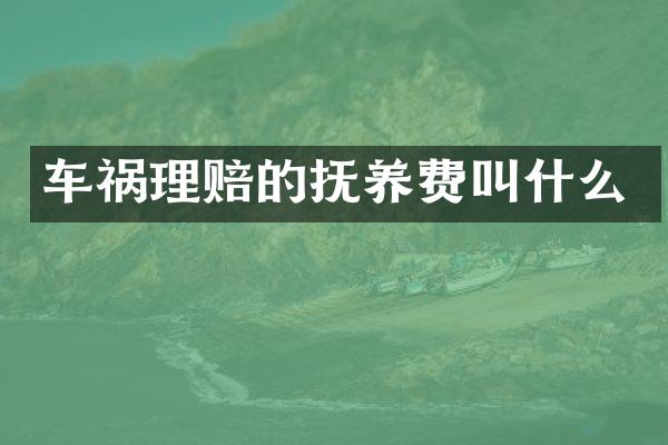 车祸理赔的抚养费叫什么