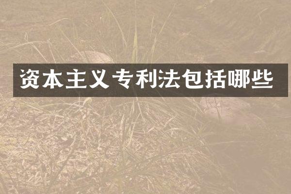 资本主义专利法包括哪些