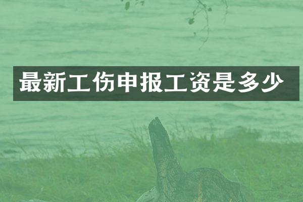最新工伤申报工资是多少