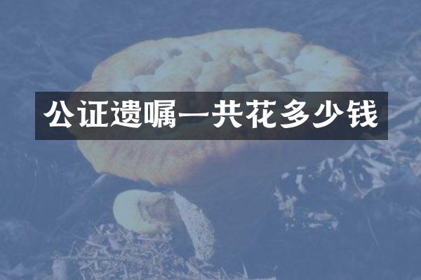 公证遗嘱一共花多少钱