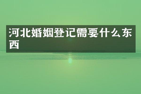 河北婚姻登记需要什么东西