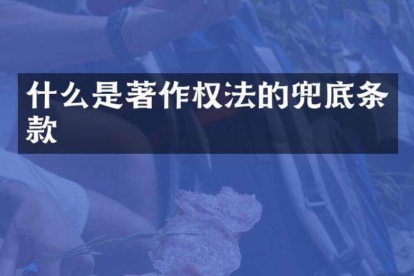 什么是著作权法的兜底条款