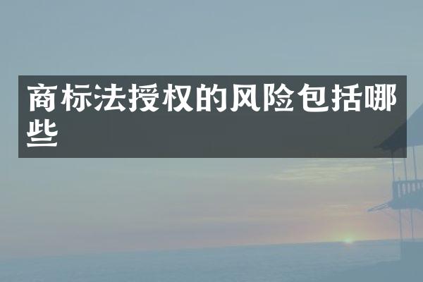 商标法授权的风险包括哪些