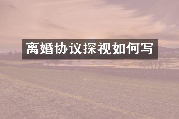 离婚协议探视如何写
