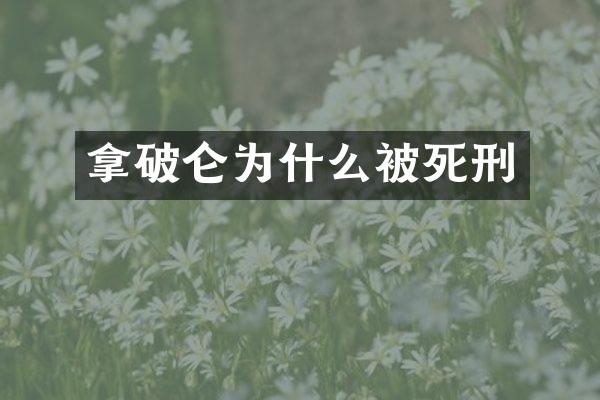 拿破仑为什么被死刑