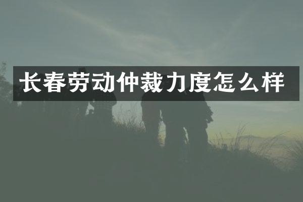 长春劳动仲裁力度怎么样