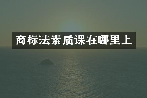 商标法素质课在哪里上