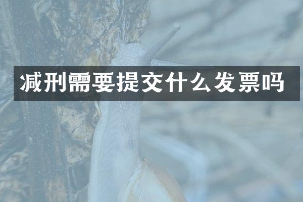 减刑需要提交什么发票吗
