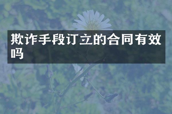 欺诈手段订立的合同有效吗